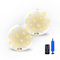 TWSOUL 2PCS Solar Schwimmende Pool Beleuchtung,35cm Poolbeleuchtung,Ip68 Wasserdichtes Pool Lampen,16 Farbe mit Fernbedienung Kugel Solarlampe Deko für Schwimmbad,Brunnen,Aquarium (Warmes Licht)