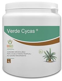 Bioges Verde Cycas 1 kg concime per Cycas ad Azione rinverdente