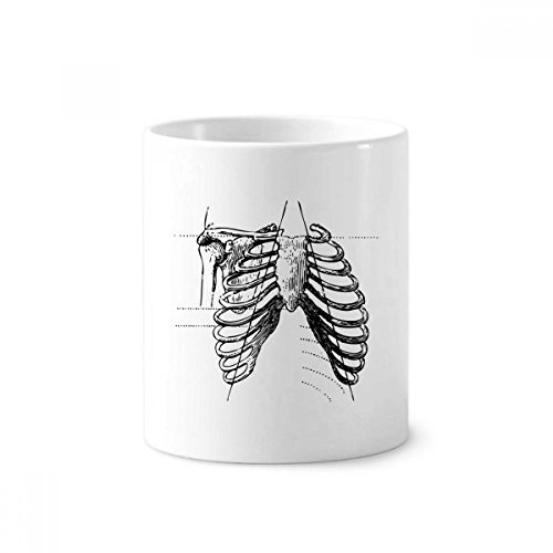 Rib Bone Human Skeleton Sketch Toothbrush Pen Holder Mug Ceramic Stand Pencil Cup