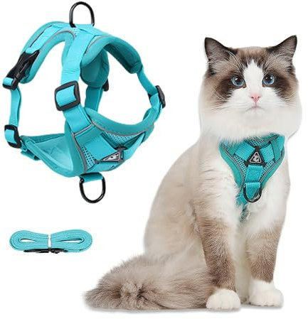 FurrPhunny Katzengeschirr und Leine, ausbruchsicher, verstellbar und bequem, ideal für Spaziergänge mit der Katze im Freien – Hundegeschirr für Welpen, Kätzchen, mittelgroße und große Katzen