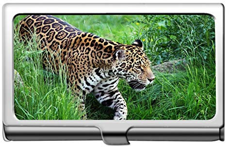 Professionelle Visitenkartenetui Edelstahl, Snow Leopard Leopard Business Kreditkartenetui