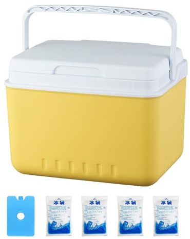 6L Cool Box - Insulated Cooler With Carry Handle & Lid - Portable Leak Proof Lightweight Cooler,Keeps Food & Drinks Cold for Hours With 4 Ice Packs & 1 Ice Box,for Camping, Fishing, Beach, Picnic