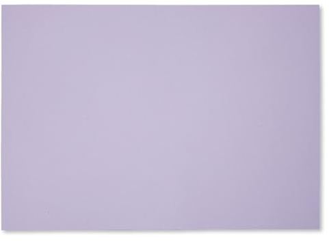 Set de 100 manteles Individuales en Tonos Pastel I Juegos de manteles de Papel I DIN A3 I Lavanda por Ambos Lados I manteles Desechables I az150