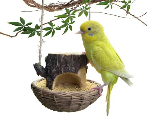 Mangiatoia per uccelli vintage a forma di casa sull'albero, vassoio decorativo per mangime, mangiatoia per uccelli a forma di casa sull'albero, per giardino, cortile, patio (B)