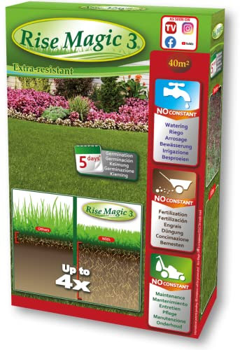 Rise Magic 3 - Saatgut für Rasen - 1 Packung Rasensamen - Kältebeständigkeit - Krankheiten - 40 m² - ökologisch und biologisch - 1 Stück