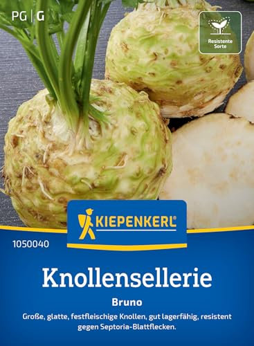 Kiepenkerl Knollenselleriesamen Bruno 1050040 - Festfleischige Knollen - Resistente Sorte - Inhalt für 80 Pflanzen - Gemüsesamen, Samen Gemüse, Saatgut
