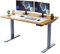 RISE UP Dual Motor Electric Standing Desk 60x30 Solid Bamboo Desktop Premium Ergonomic Adjustable Height Sit Stand Up Home Office Computer Desk Table Motorized Powered Modern Furniture Small Standup