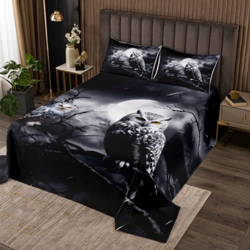 Nette Eule Steppdecke Äste Tagesdecke 220x240cm 3D Tier gedruckt Bettüberwurf für Jungen Mädchen Vogel Dekor Karikatur Eulen Design Wohndecke 3St