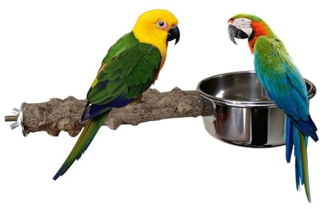 Soporte de Madera para Loros, Jaula de pájaros con Cuenco, Herramienta de alimentación de diseño Integrado para cacatúas, Loros medianos, periquitos