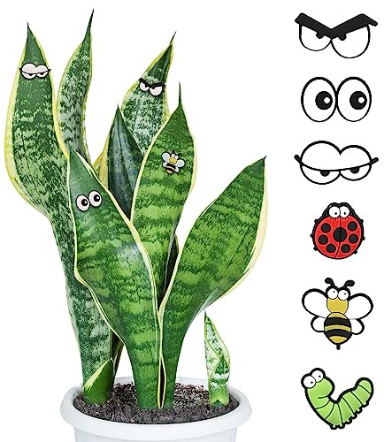 TOYMIS 6pz Pianta Magneti Occhi, Graziosi Accessori per Piante da Interno Divertenti Magneti per Piante Decor Magneti per Piante Occhi per Amanti delle Piante Giardinieri Amici Regalo Speciale