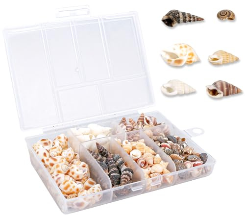 Geukmun 100 Pcs Natural Sea Shells for Crafts, Mixed Small Seashells 0.39-1.57inch Beach Shells for DIY Hawaiian Style Vase Fillers Aquarium Decor Wedding