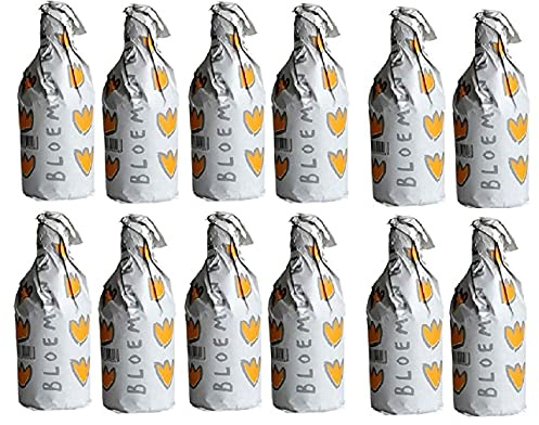 BROUWERIJ DE PROEF 12 Bottiglie Birra Bloemenbier 33 cl Belga Bionda Giallo Dorato Belgio Artigianale Luppolo Malto, Birra Bloemenbier 12 Bottiglie - 3,96 Litri