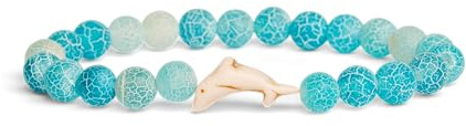 Fahlo Dolphin Tracking Bracelet – Elastic, One Size Fits Most – Supports FIU Marine Mammal Ecology Lab – Track a Real Dolphin on Interactive Mobile App Map – Unisex Gift for Men & Women (Aqua Blue)