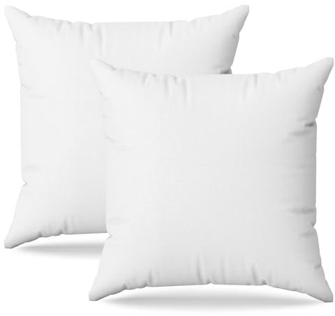 Flowen Kissen 30x30 Kopfkissen 2er Set Dekokissen für Bett und Sofa Innenkissen Hypoallergene Sofakissen Anti-Milben Weiche Zierkissen mit Kissenbezug Mikrofaser Abnehmbar und Waschmaschinenfest