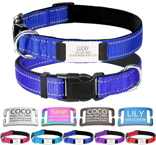 Personalized Nylon Dog Collar with Engraved Name Plate, S, Blue