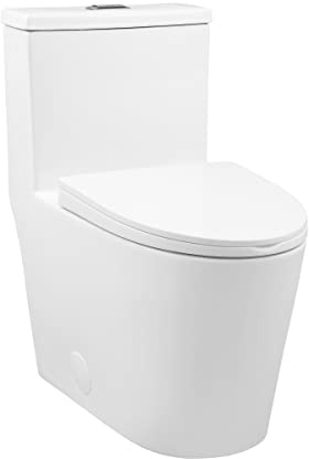 Dreux One Piece Elongated Dual Flush Toilet with 0.95/1.26 GPF