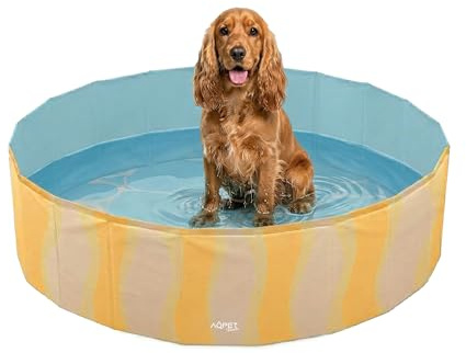 AQPET AqpetFriends Piscine en Plastique pour Chien, Animaux domestiques, Pliable, de Jardin, 160 x 30 cm, Motif mer
