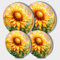 Tucocoo Herdbrenner-Abdeckungen, helle Sonnenblumen-Gasherd-Abdeckungen, Set mit 4 Stück, 20 cm und 25 cm, Herdabdeckplatten für Elektroherd, Metallherd, Vintage-Aquarell-Blumen-Küchendekoration