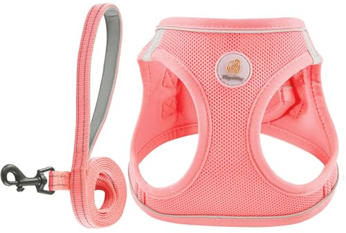 Hipubby Dog Harness and Leash Set, No Pull Soft Mesh Puppy Harness for Small Medium Dogs, Cats - Step in Reflective Breathable Lightweight Vest Harness for Walking, Training - Pink, XS