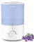 Levoit Top-Fill Luftbefeuchter 3L mit Nachtlicht, Spülmaschinenfest, 360° Drehbare Dampfdüsen, 25Std. Laufzeit, BPA-Frei Duft-Diffusor, 28dB Superleise für Schlafzimmer Pflanzen, Blau