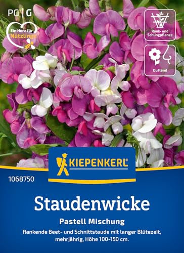 Kiepenkerl Staudenwickensamen Pastell Mischung 1068750 - mehrjährige rankende Beet- und Schnittstaude mit langer Blütezeit - Pflanzen, Blumensamen, Saatgut
