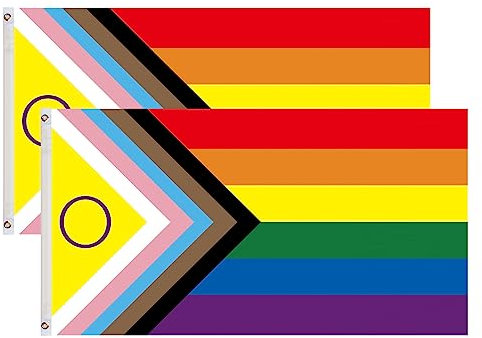 2PCS Bandiera Dell'orgoglio 90x150cm Progress Pride Rainbow Flag LGBTQ Rainbow Flags per Parata, Festival, Festa, Carnevale, Bandiere Premium, Interno, Esterno, Colori Vivaci