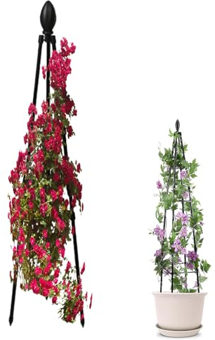 Struttura di supporto per piante rampicanti in metallo, per interni ed esterni, supporto verticale per la crescita, stile obelisco per piante rampicanti e fiori | Per coltivare erbe aromatiche e