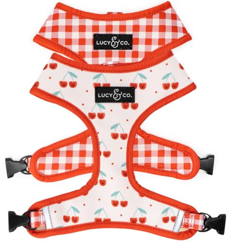 Lucy & Co. Cheery Cherries, Cute Reversible Dog Harness Walking Halter - Best Designer Pet Harnesses for XS - XL Dogs - Padded Adjustable Vest for Easy Walking (Medium)