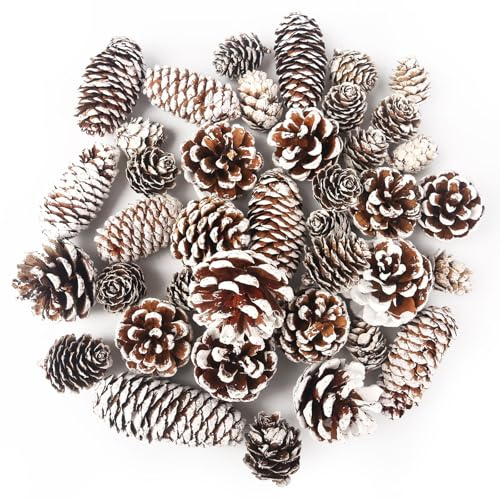 DomeStar 40PCS Snow Pine Cones for Crafts, Natural Cones Christmas Ornaments for Xmas Tree Wreath Winter Holiday Hanging Ornaments, Winter Vase Filler
