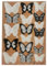 JEYORZY 18 Piezas 3D Mariposa Decoración, pared Decorativas 3D para Fiesta Boda Dormitorio Jardin Niños Decoración