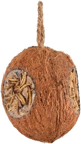 Flamingo Noix de coco avec 3 trous de farine - nourriture pour oiseaux sauvages