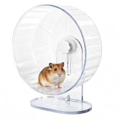 Roue pour hamster - 22 cm - Silencieuse - Réglable en hauteur - Transparent - Jouet pour hamster nain, souris, gerbilles, petits animaux