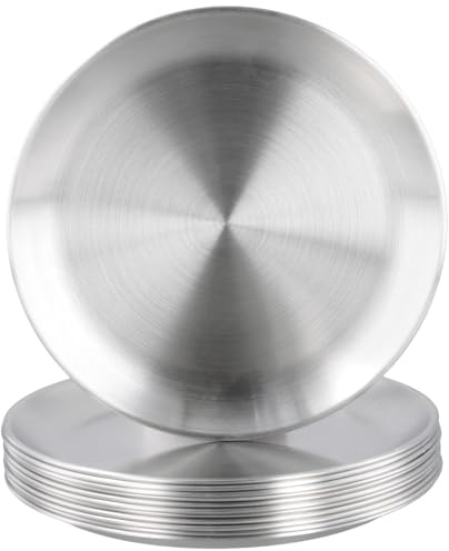 HONYUET 12 st 20 cm silver rostfritt stål tallrik, 20 cm rund middagstallrik i rostfritt stål, borstad metall, rund middagstallrik för biffsallad, camping, grillning, biff, pizza