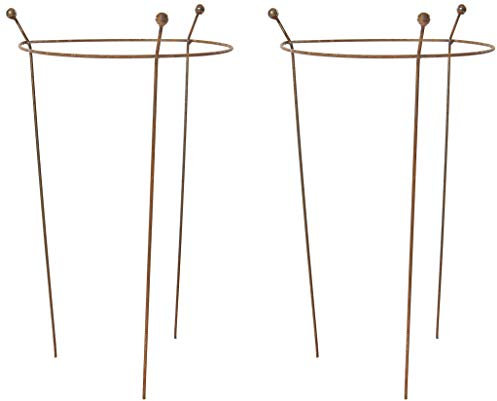 RUDDINGS WOOD Set of 2 x Natural Rust Metal Traditional Garden Plants Support Rings (60cm high x 35cm diameter) - Rusty Steel Flower Plant Grow Through Cage Frames