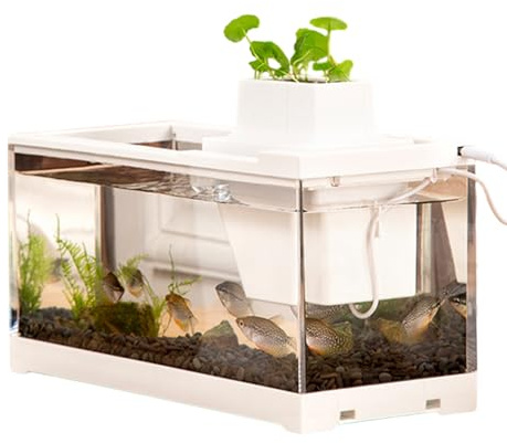 Petit Aquarium, Aquarium de Bureau | de Table à Basse Tension avec Pompe à Eau | Mini illuminé, Grande Ouverture,Transparence Fuite, pour Les Chambres, Tables, Bureaux, Vie