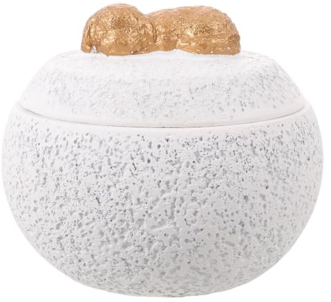 SEWACC Urne pour Cendres de Chien en Céramique Blanche avec Compartiments Séparés et Étanche, Boîte Mémoriale pour Poils d'animaux pour Décoration Intérieure