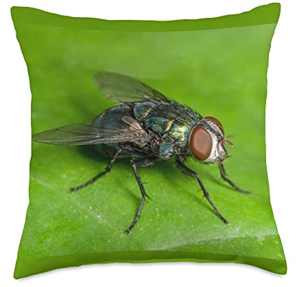 Macro insect fly picture for exterminator Throw Pillow, 18x18, Multicolor