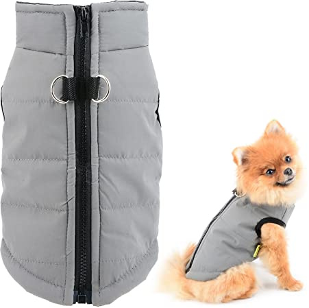 SMALLLEE_LUCKY_STORE Veste d'hiver imperméable avec anneaux en D pour chien de petite taille et chat, manteau matelassé avec fermeture Éclair pour chihuahua, yorkshire, chaton, gris, taille S