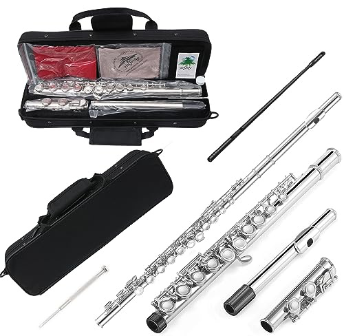 Yinfente 16 Hole C Flute With Gloves, Cleaning Rod, Case, Tuning Key and Extra Reeds - Nickel Silver Body, Closed Hole, For Beginner (Nickel)