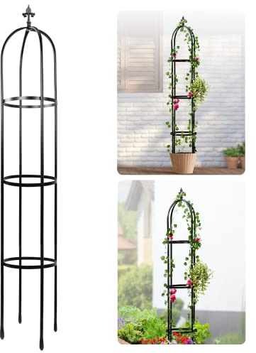 Idzo Treillis obélisque en métal pour Plantes grimpantes d'extérieur de 1,8 m, Tuyau en Acier Robuste avec revêtement en Pierre martelée pour Support de Plantes en Pot, Treillis de Jardin Noir pour