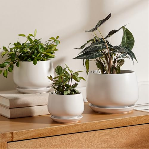 LE TAUCI Keramiska Blomkrukor för Växter, 10+12,5+16,5 cm Blomkrukor, Set med 3, Ytterkrukor med Dräneringshål och Fat, Inomhuskrukor med Dräneringsnät, Present till Mamma, Vit