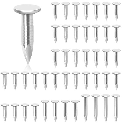 Glarks 300pcs 3/4 pouces acier toit feutre clou galvanisé toit feutre clou tête plate clou en feutre fraisé pour fixer toit de remise, toit en feutre ardoise, tuiles de remise en bois