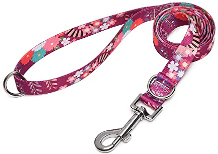 Suredoo Soft Nylon Dog Lead Leash with Colorful Patterns, Comfortable Strong Dog Training Walking Lead Leashes with 2 D-ring for Small Medium Large Dogs, (Colorful Flower)