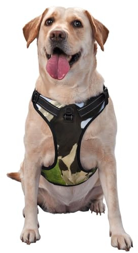 Vaches au pâturage,Harnais pour Animaux de Compagnie, Harnais réfléchissant réglable pour Chien,S
