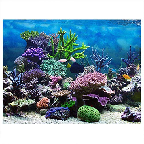Zerodis PVC Aquarium Background Poster, Self-Adhesive Underwater Decoration 61 x 30 cm, Static Cling Film for Fish Tank Back Wall, Terrarium Hintergrundfolie