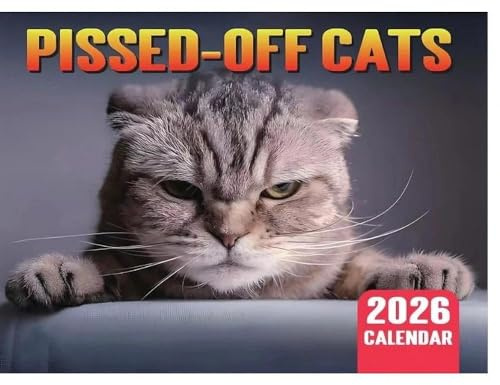 Arg katter kalender 2026, kattkalender 2026 med arga katter, arga kattkalender rolig väggkalender, Angry Cat Calendar Kalender månadsplanerare för kattälskare