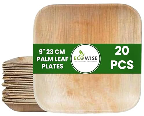 EcoWise 20 Palm Leaf Plates 9 Inch Square Eco-Friendly Biodegradable Compostable Bamboo Plates- Disposable Plates for Parties Picnic Perfect for Hot and Cold Food