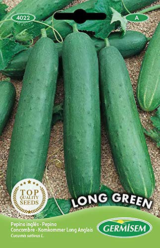 Germisem Long Green Semillas de Pepino 3 g