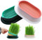 Piuluvor® 2 Stück Keimschale Katzengras Samen Pflanzschalen Kunststoff Keimschalen Hydroponik Seed Sprouter für Garten Home Office