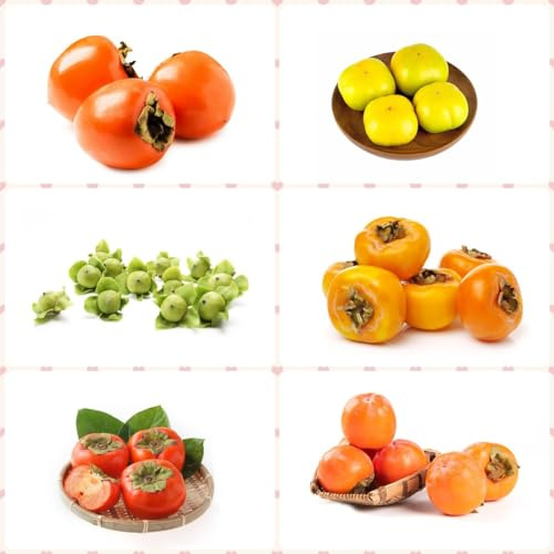 100 piezas de semillas resistentes de árbol de caqui - plantas de interior exóticas fruta columnar semillas frescas de cama elevada árbol bonsái árboles frutales columnares regalo de